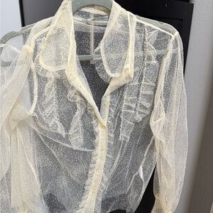 Sheer Ruffled Button-Up Blouse